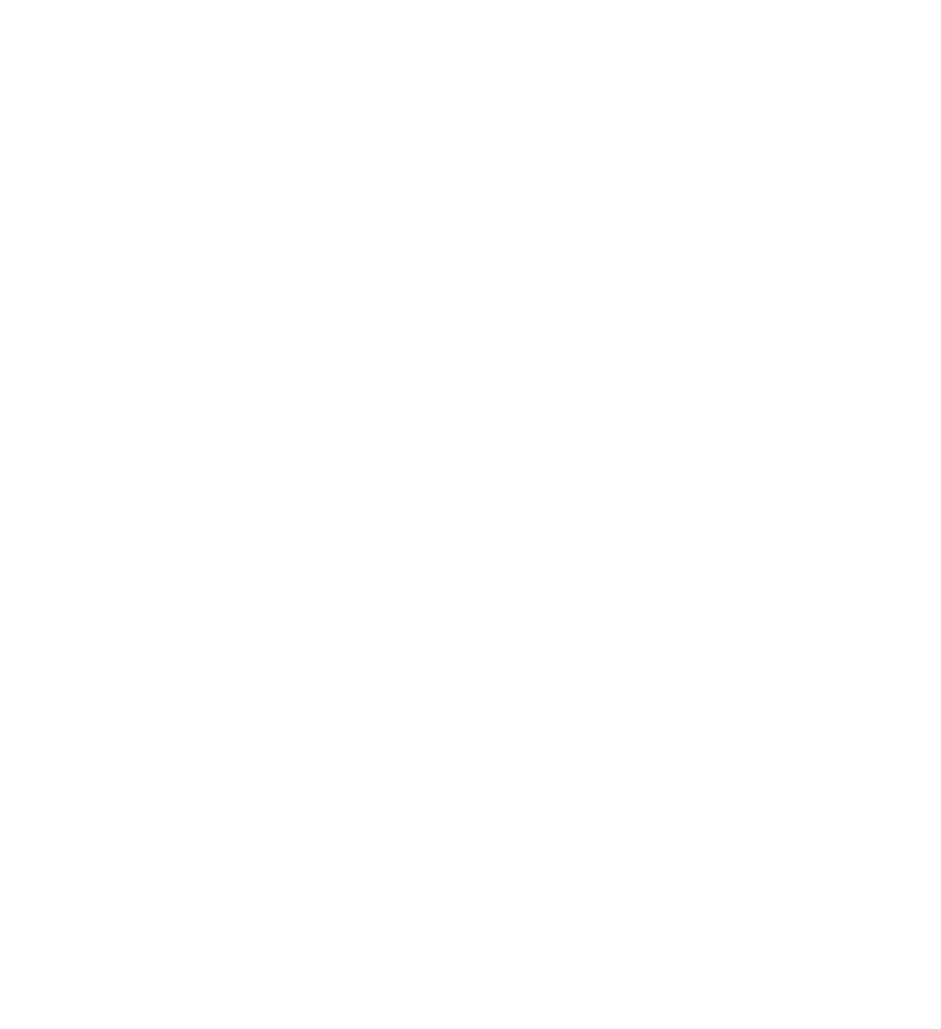SAIAE Logo